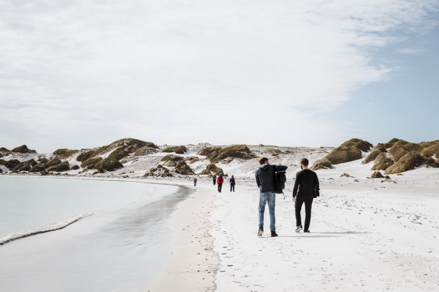 PLAEC-21, Day 18, Falkland Islands, Gypsy Cove © Unknown Photographer - Oceanwide Expeditions.jpg