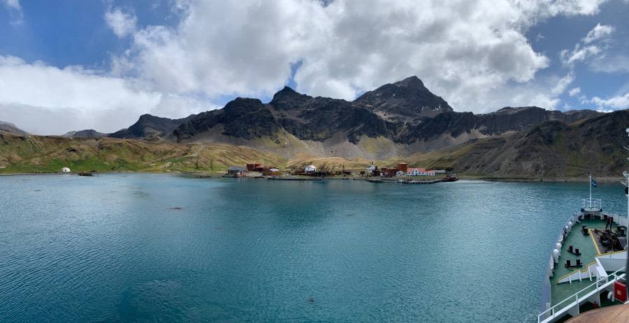 PLAEC-21, Day 14, Grytviken, South Georgia © Unknown Photographer - Oceanwide Expeditions (1).jpg