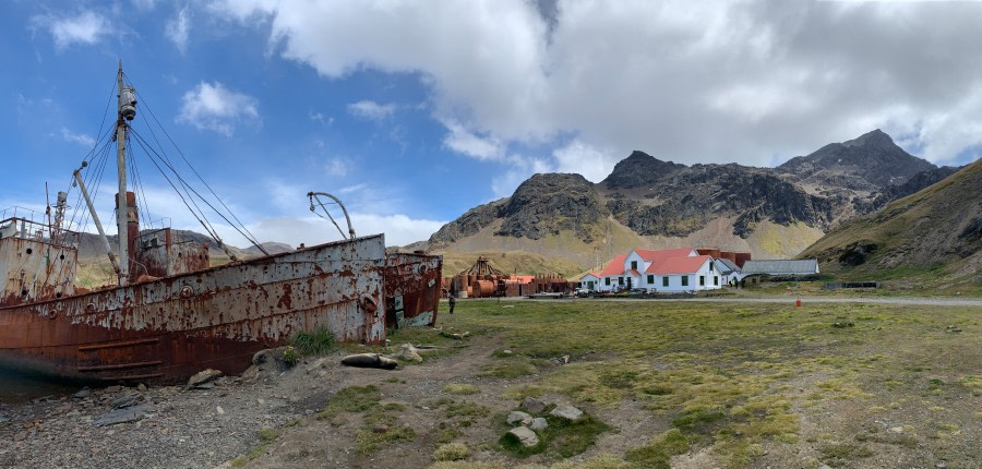 PLAEC-21, Day 14, Grytviken, South Georgia © Unknown Photographer - Oceanwide Expeditions.jpg