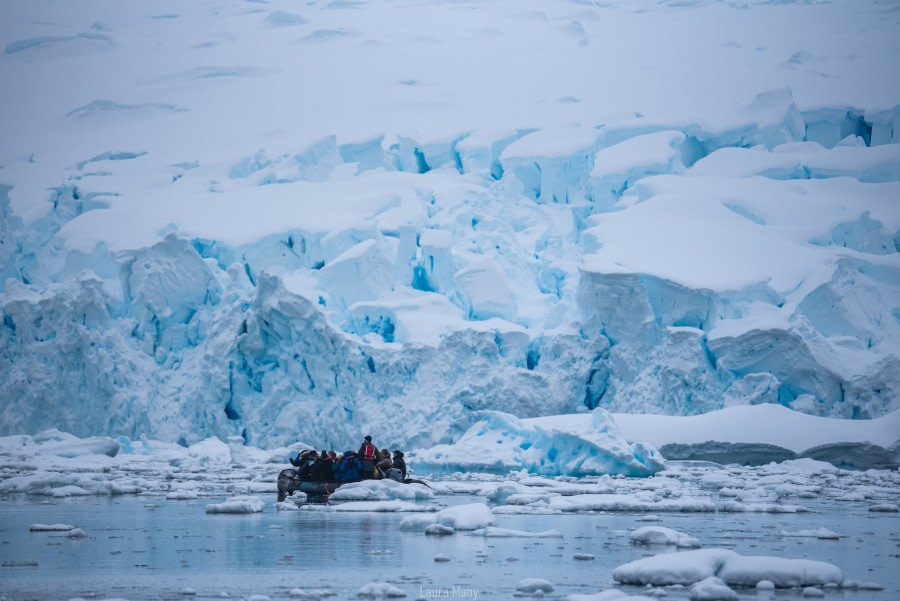 PLAEC-21, Day 6, Paradise Bay © Laura Mony - Oceanwide Expeditions.jpg