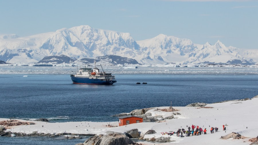 PLAEC-21, Day 7, Peterman Island © Pippa Low - Oceanwide Expeditions.jpg