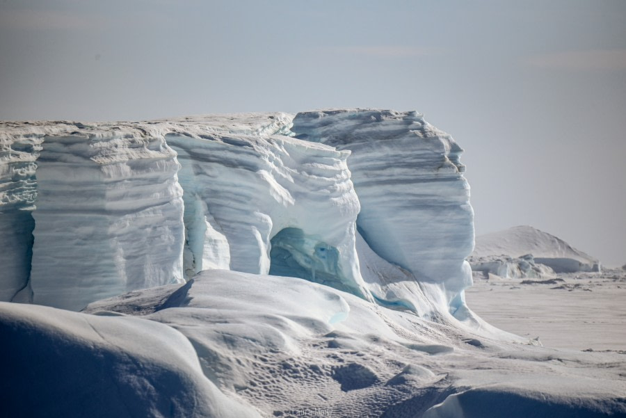 PLAEC-21, Day 9, Iceberg, Weddell Sea © Laura Mony - Oceanwide Expeditions (1).jpg