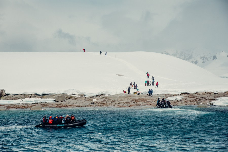 PLA24-21, Day 8, Portal point, Antarctica © Unknown Photographer - Oceanwide Expeditions (1).jpg