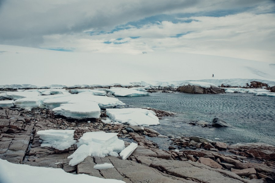 PLA24-21, Day 8, Portal point, Antarctica © Unknown Photographer - Oceanwide Expeditions.jpg