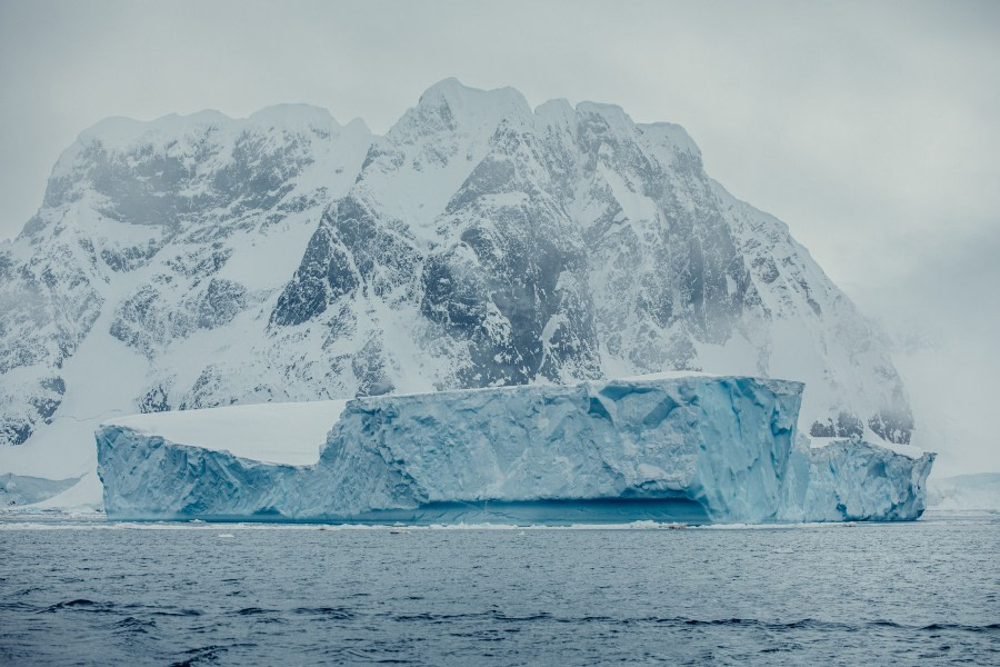 PLA24-21, Day 7, Iceberg, Port Charcot © Unknown Photographer - Oceanwide Expeditions.jpg