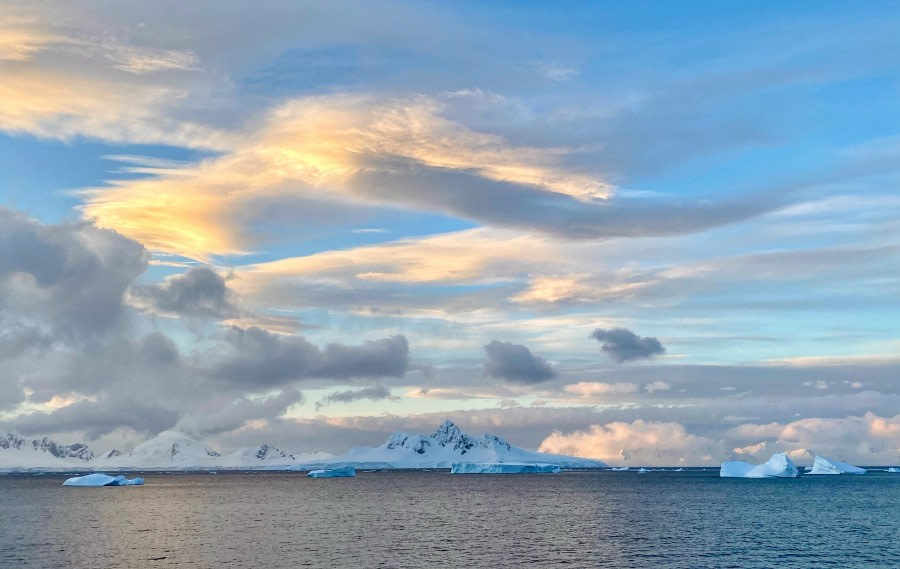 HDS23-21, Day 5, Wilhelmina Bay © Unknown Photographer - Oceanwide Expeditions (1).jpg