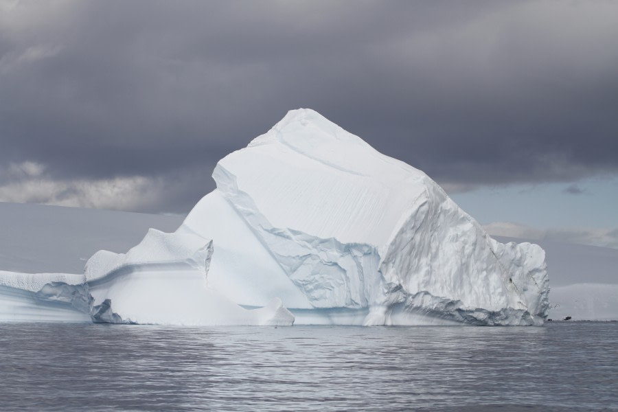 HDS23-21, Day 7, Portal point, Iceberg © Felicity Johnson - Oceanwide Expeditions.JPG