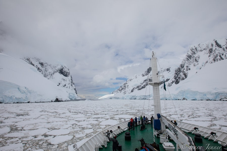 HDS24-21_Day 5_Lemaire Channel 2 © Oceanwide Expeditions.jpg