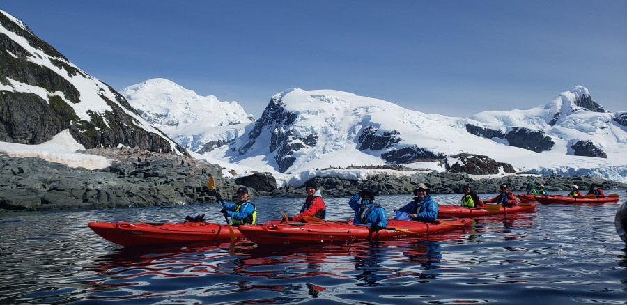 HDS24-21_Kayaking, Cuverville_20211229_142733 © Oceanwide Expeditions.jpg