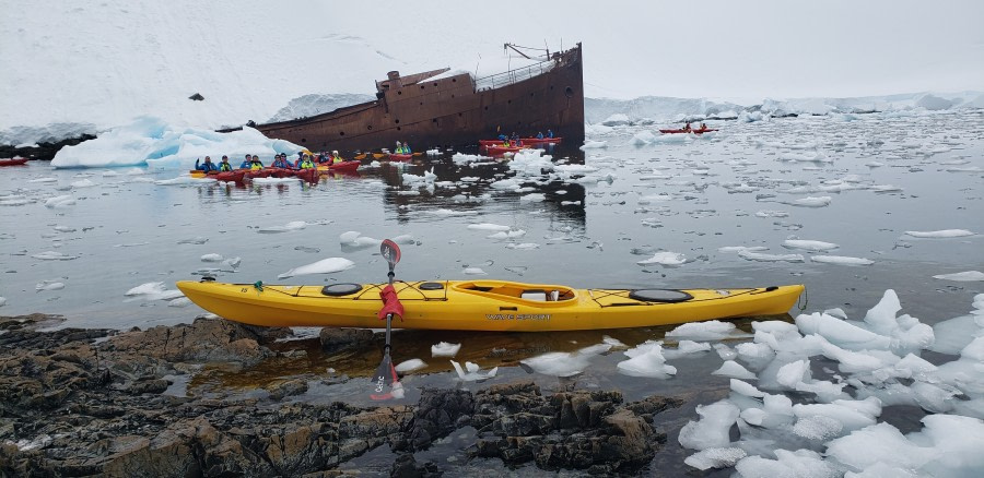 HDS24-21_Kayaking, Foyn Harbour_20211230_153921 © Oceanwide Expeditions.jpg