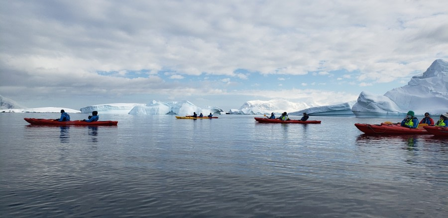 HDS24-21_Kayaking, Orne Island_20211229_083015 © Oceanwide Expeditions.jpg