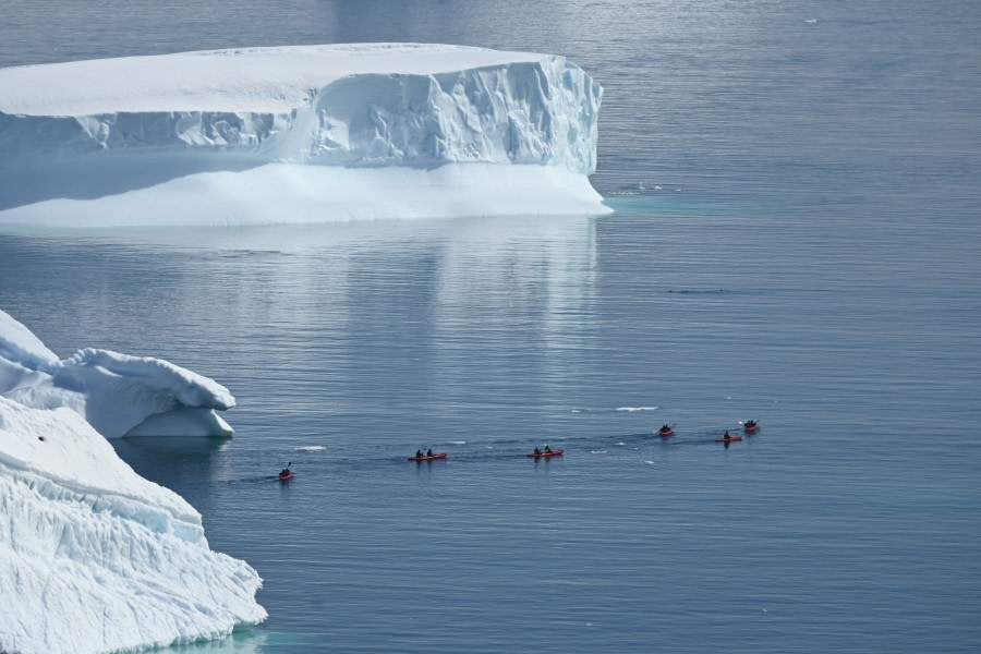 PLA25-22, DSC_1141 © Calum Muskett - Oceanwide Expeditions.JPG