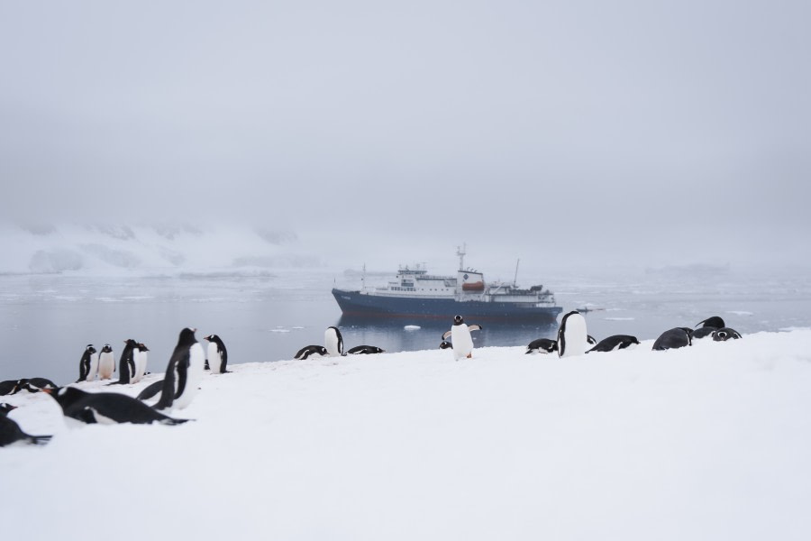 PLA25-22, PLA 25 - Pax photos-135 © George Kennedy - Oceanwide Expeditions.jpg