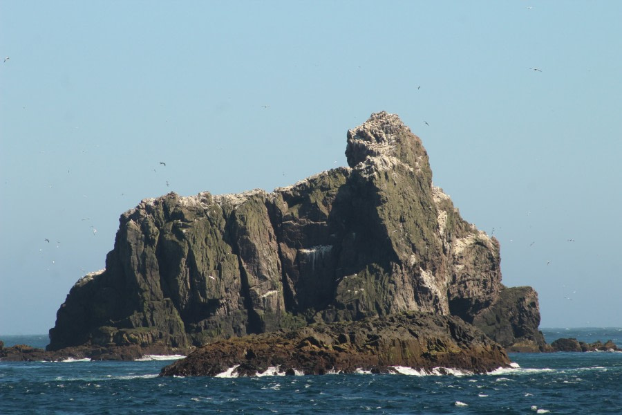 HDSX22_Day 4 Bird cliffs © Unknown Photographer - Oceanwide Expeditions.JPG