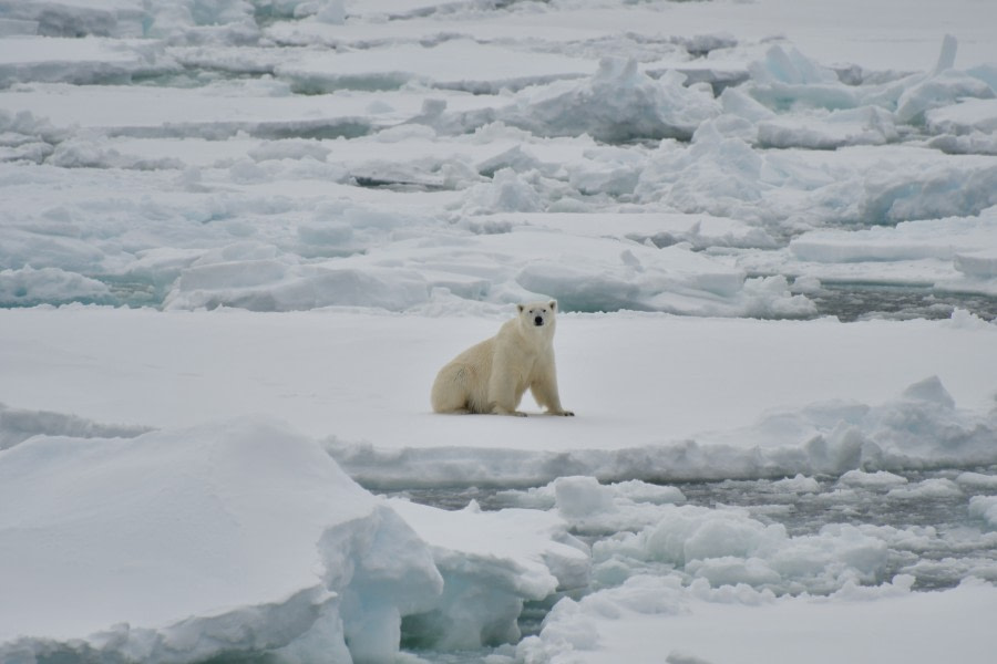 At sea, exploring the ice edge