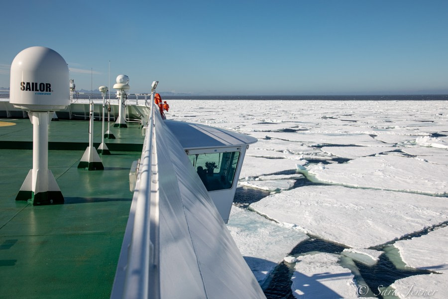 Ice Edge, 80° North and Danskeneset