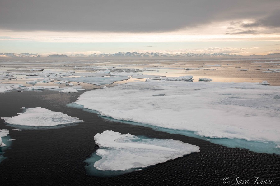 HDS02-22, Day 5, Ice day 1 © Sara Jenner - Oceanwide Expeditions.jpg