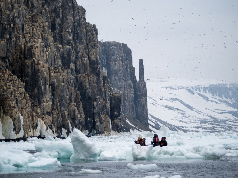 PLA03-22, Day 4, Zodiac cruising, Alkefjellet (Groot).jpg