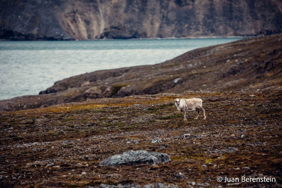 OTL05-22, Day 2 _Q9A3390 © Juan Martin Berenstein - Oceanwide Expeditions.jpg