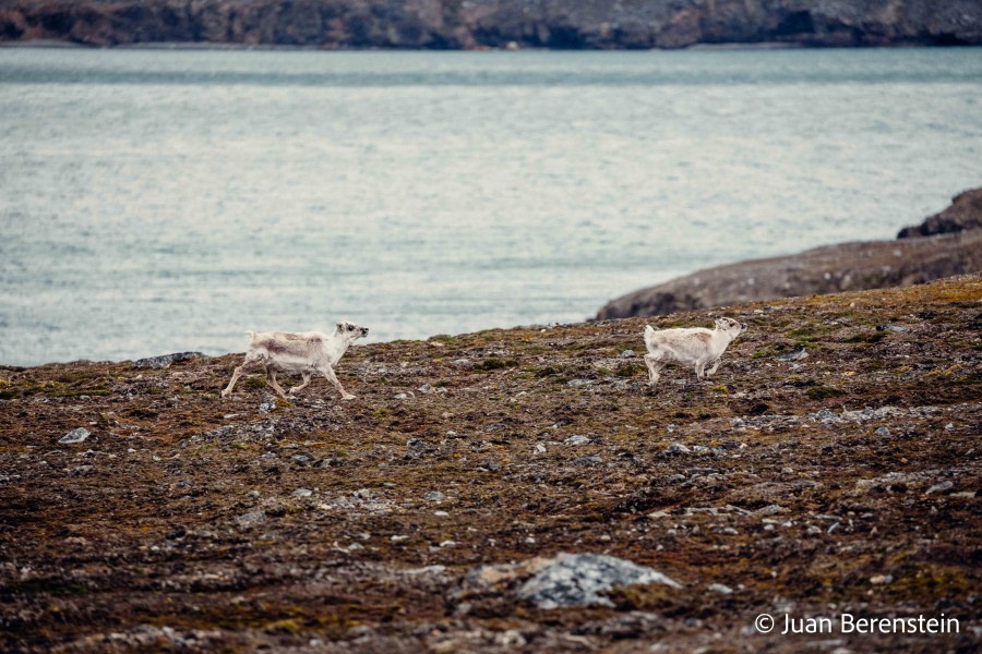 OTL05-22, Day 2 _Q9A3396 © Juan Martin Berenstein - Oceanwide Expeditions.jpg