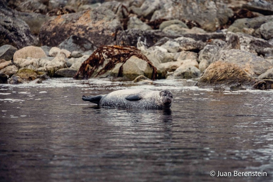 OTL05-22, Day 3 _Q9A3545 © Juan Martin Berenstein - Oceanwide Expeditions.jpg