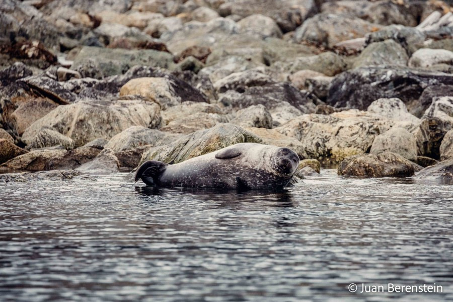 OTL05-22, Day 3 _Q9A3549 © Juan Martin Berenstein - Oceanwide Expeditions.jpg