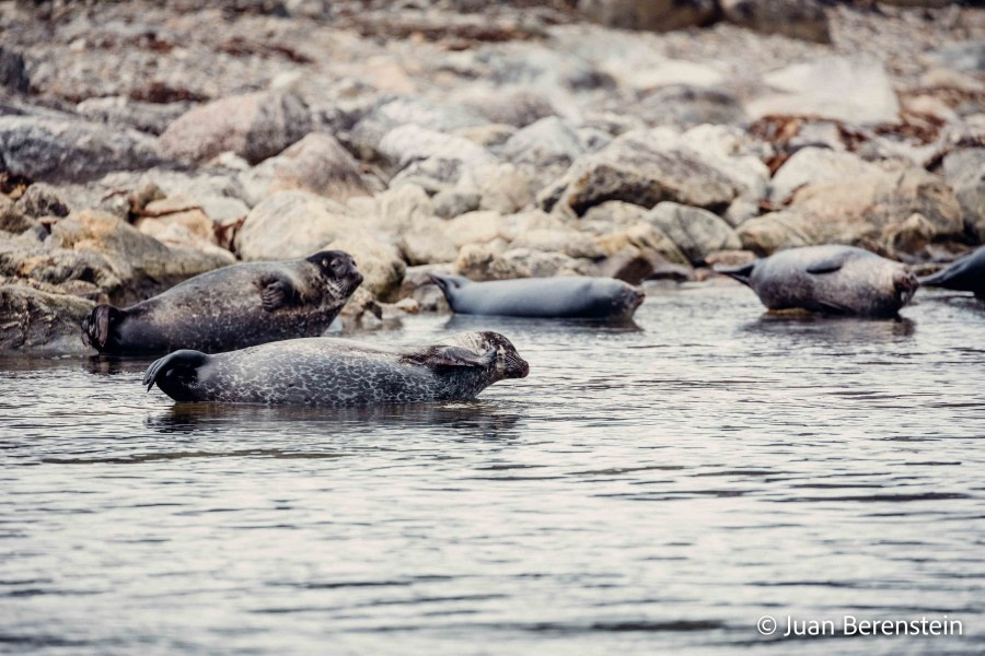 OTL05-22, Day 3 _Q9A3567 © Juan Martin Berenstein - Oceanwide Expeditions.jpg