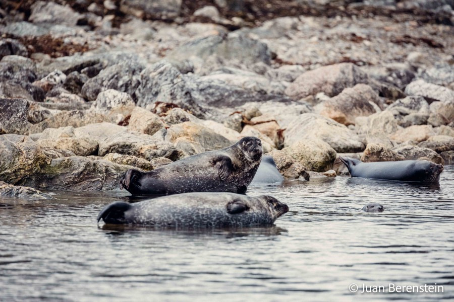 OTL05-22, Day 3 _Q9A3582 © Juan Martin Berenstein - Oceanwide Expeditions.jpg