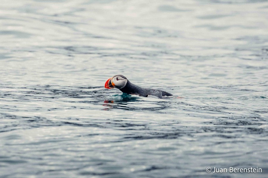 OTL05-22, Day 3 _Q9A3972 © Juan Martin Berenstein - Oceanwide Expeditions.jpg