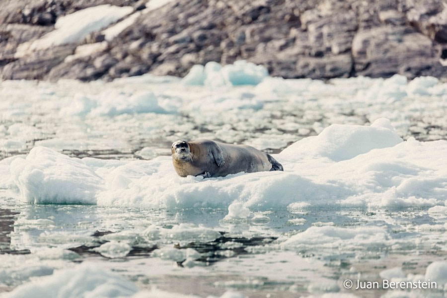 OTL05-22, Day 5 _Q9A4169 © Juan Martin Berenstein - Oceanwide Expeditions.jpg