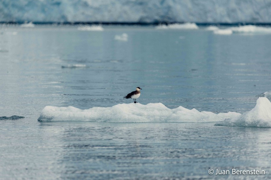 OTL05-22, Day 5 _Q9A4283 © Juan Martin Berenstein - Oceanwide Expeditions.jpg