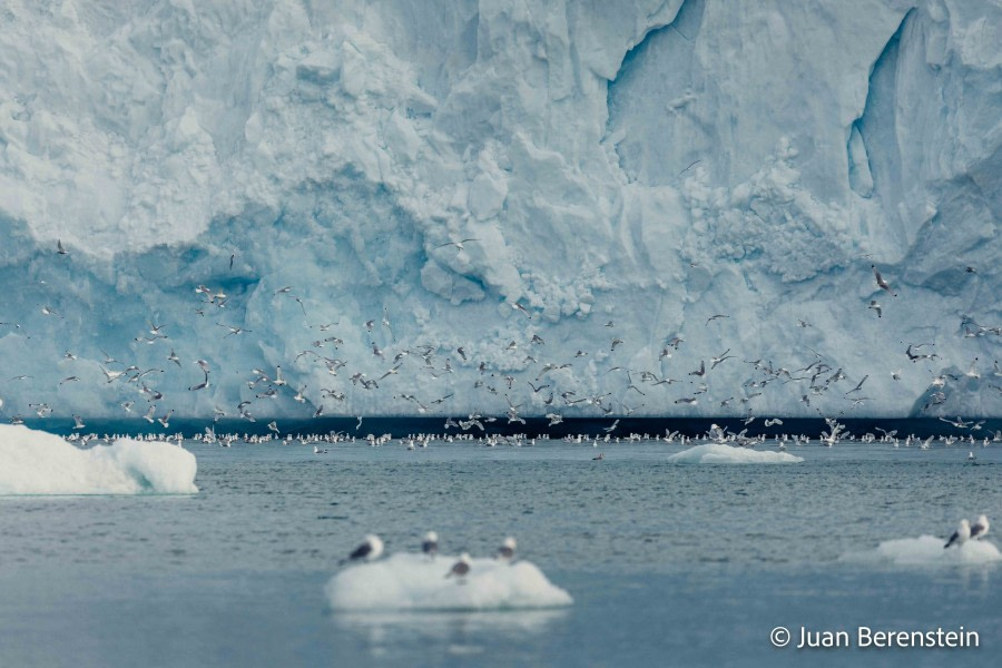 OTL05-22, Day 5 _Q9A4304 © Juan Martin Berenstein - Oceanwide Expeditions.jpg