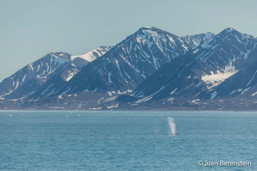 OTL05-22, Day 6 _Q9A4541 © Juan Martin Berenstein - Oceanwide Expeditions.jpg