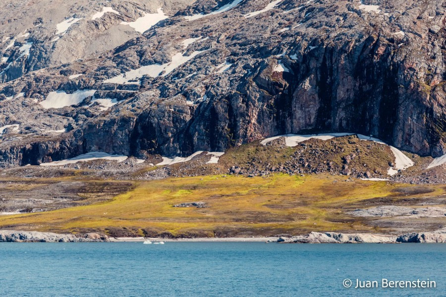 OTL05-22, Day 6 _Q9A4565 © Juan Martin Berenstein - Oceanwide Expeditions.jpg