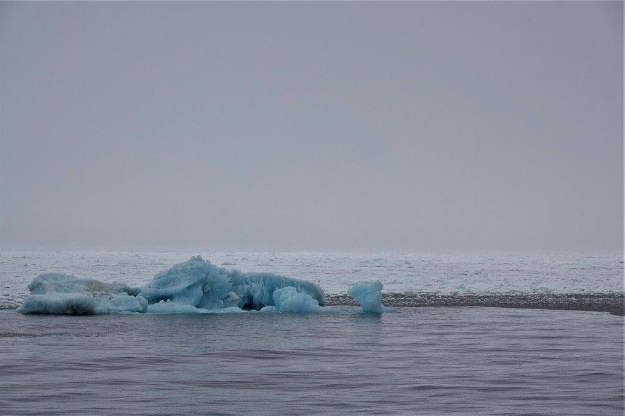 PLA05-22, Day 5, Sea ice © Unknown Photographer - Oceanwide Expeditions.jpg