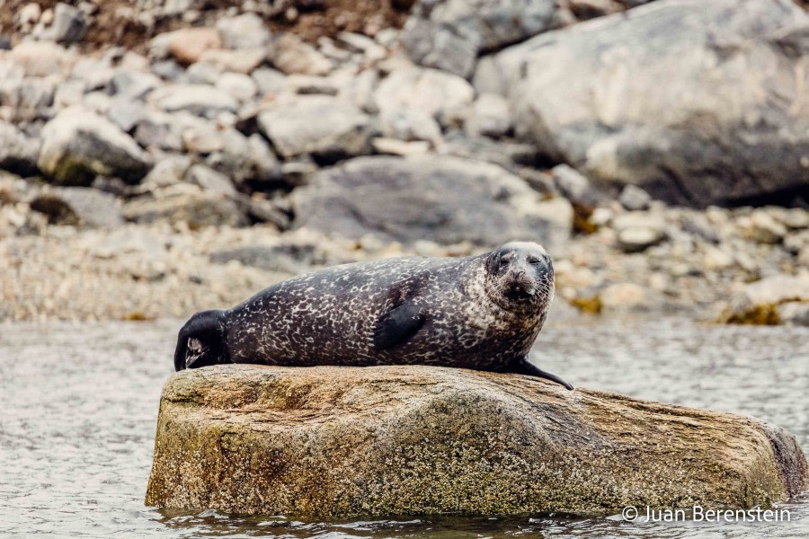 OTL06-22, Day 3, _Q9A5532 © Juan Martin Berenstein - Oceanwide Expeditions.jpg