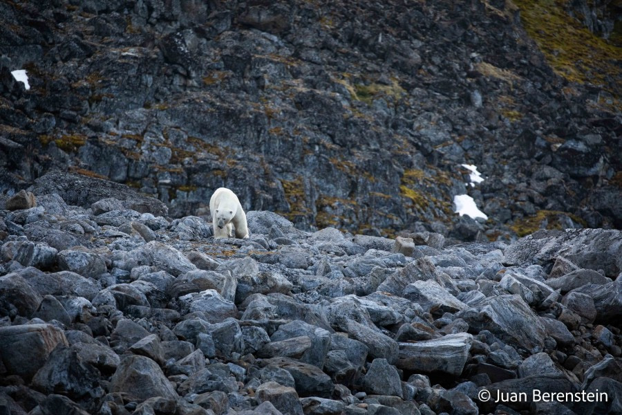 OTL06-22, Day 3, _Q9A5614 © Juan Martin Berenstein - Oceanwide Expeditions.jpg