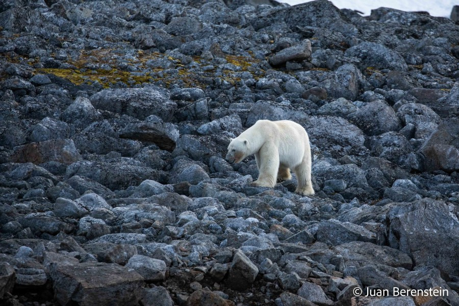 OTL06-22, Day 3, _Q9A5629 © Juan Martin Berenstein - Oceanwide Expeditions.jpg