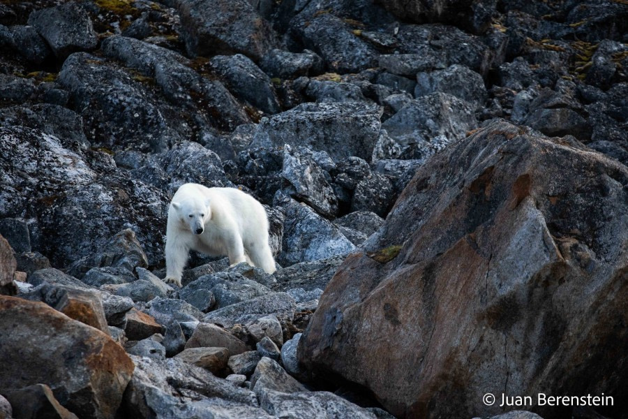 OTL06-22, Day 3, _Q9A5643 © Juan Martin Berenstein - Oceanwide Expeditions.jpg