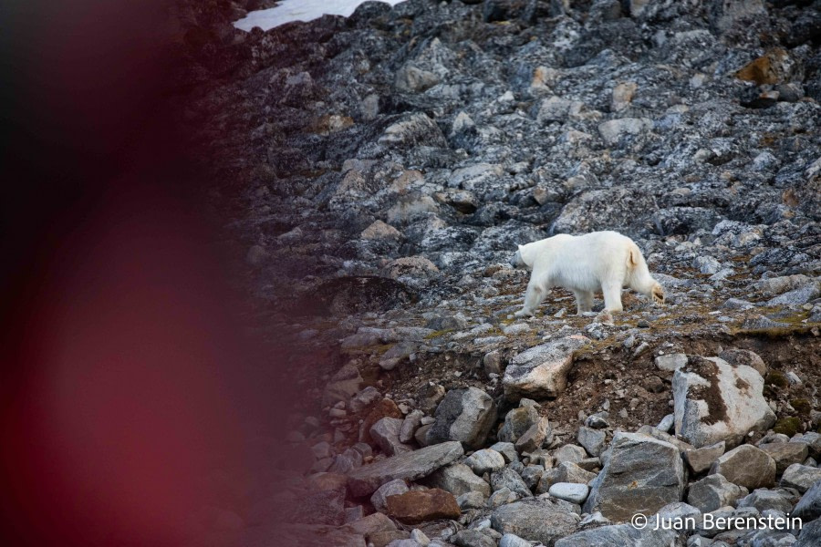 OTL06-22, Day 3, _Q9A5760 © Juan Martin Berenstein - Oceanwide Expeditions.jpg