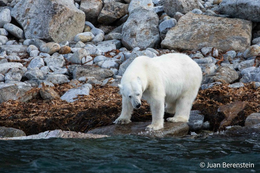 OTL06-22, Day 3, _Q9A5780 © Juan Martin Berenstein - Oceanwide Expeditions.jpg