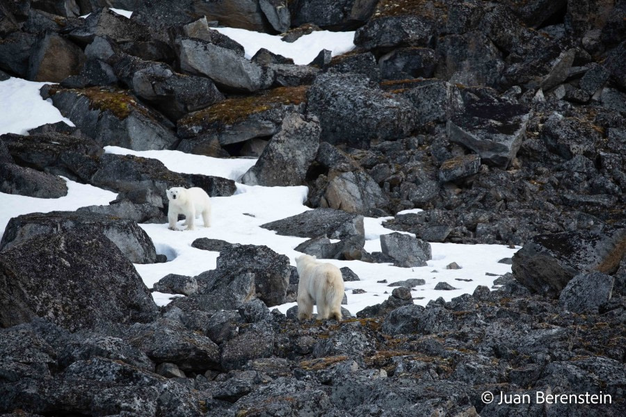 OTL06-22, Day 3, _Q9A5890 © Juan Martin Berenstein - Oceanwide Expeditions.jpg