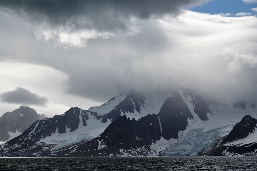 Svitjodbreen glacier in Fuglefjord and Alicehamna, Raudfjord with a Polar bear