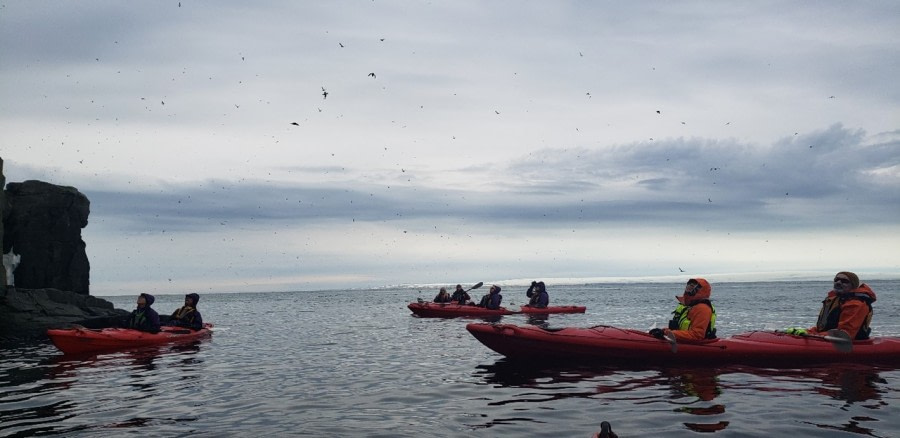 PLA06-22, Day 4, Kayaking at Alkefjellet © Alexis Bellezze - Oceanwide Expeditions.jpg