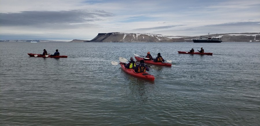 PLA06-22, Day 4, Kayaking at Palanderbukta © Alexis Bellezze - Oceanwide Expeditions.jpg