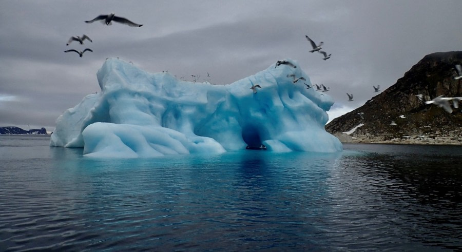 Zodiac cruise at the Seven Islands (Sjuøyne) and sailing to the pack ice