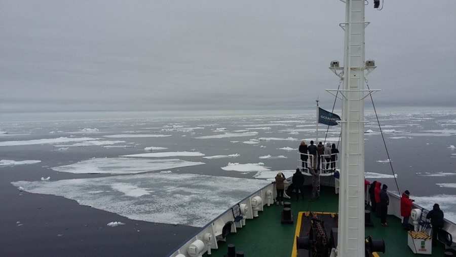 PLA06-22, Day 5, Plancius cruising the pack ice © Unknown Photographer - Oceanwide Expeditions.jpg