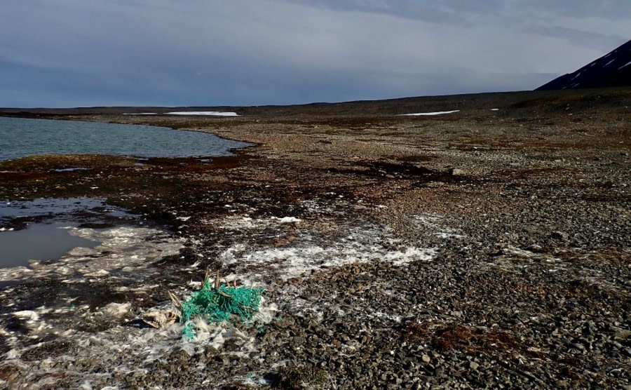 PLA07-22, Day 4, Skulls of reindeer trapped in fishingnets, Mushamna © Unknown Photographer - Oceanwide Expeditions.jpg