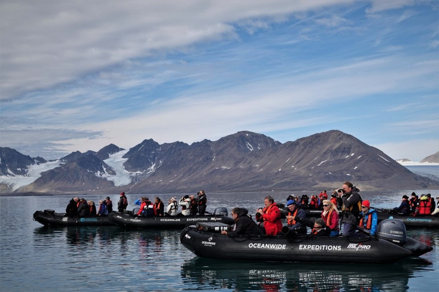 Zodiac cruise at Reinodden and ships cruise with Beluga Whales, Bellsund