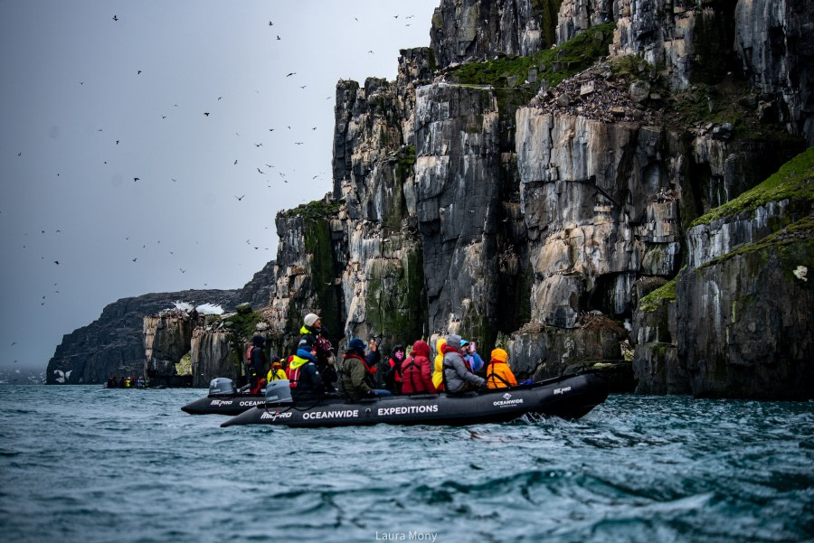 HDS07-22, Day 6, Alkefjellet Zodiac cruise © Laura Mony - Oceanwide Expeditions.jpg